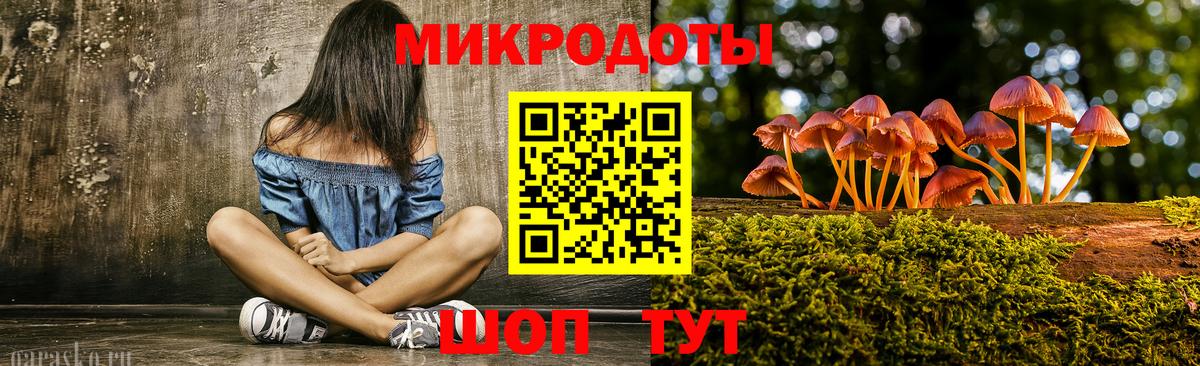 Галлюциногенные грибы Psilocybe Гусев