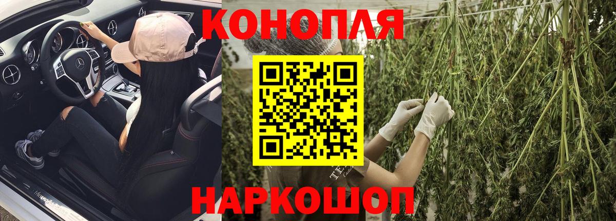 Бошки марихуана семена Гусев